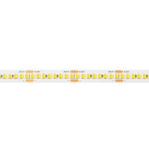 StrongLumio LED juosta didelio efektyvumo 24V 20W/m (240 LED/m), 10 mm, neutrali balta – 1 m